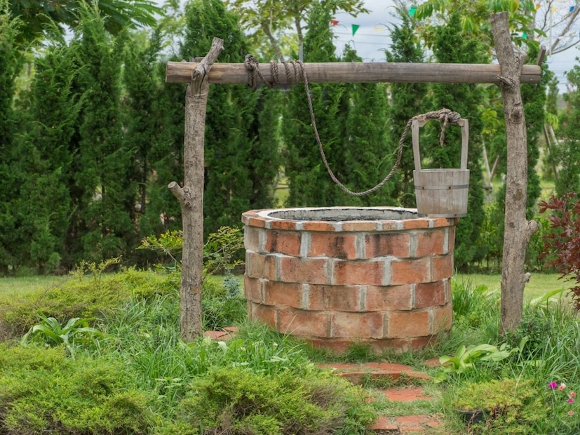 पण, कधी तुम्ही विचार केला आहे का, की आपल्या आजोबा-पणजोबांच्या काळात गावाकडच्या विहिरींमध्ये कोणतेही फिल्टर नसतानाही, पाणी वर्षानुवर्षे एवढे शुद्ध, थंड आणि गोड कसे राहायचे? तेव्हा तर लोक फक्त गाळून विहिरीचं पाणी प्यायचे, हे कसं शक्य होतं? त्यावेळी लोक हेच पाणी पिऊन निरोगी राहायचे, ते पाणी खराबही होत नव्हते आणि त्यामुळे कोणतेही रोगही पसरत नव्हते.