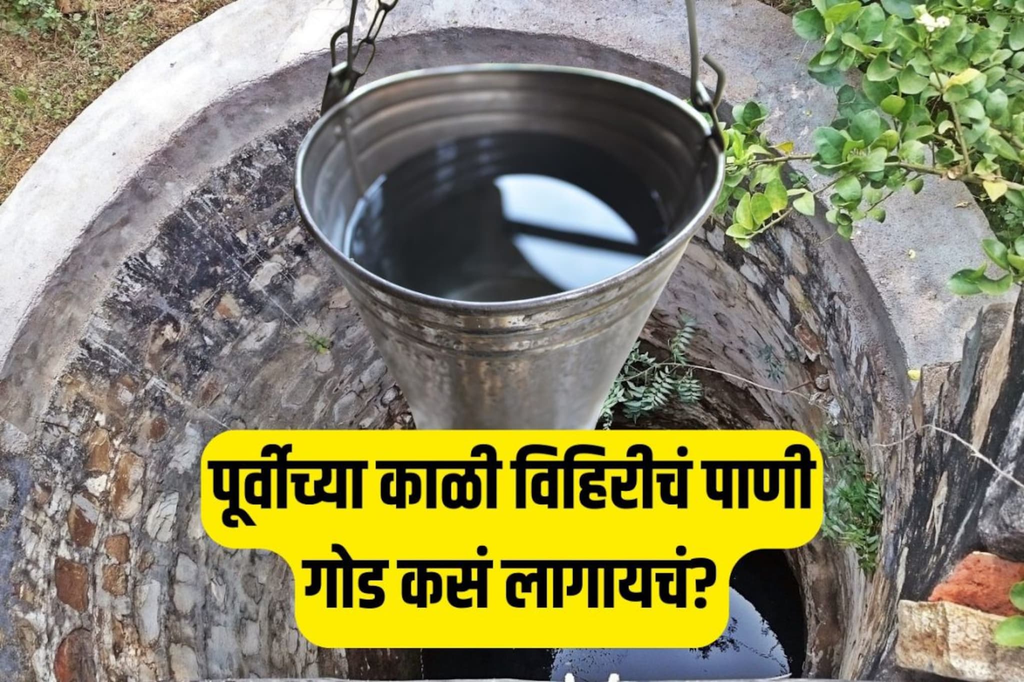 पूर्वीच्या काळी विहिरीचं पाणी गोड कसं लागायचं? हे आहे शुद्ध पाण्याचे रहस्य पूर्वीच्या काळी विहिरीचं पाणी गोड कसं लागायचं? हे आहे शुद्ध पाण्याचे रहस्य