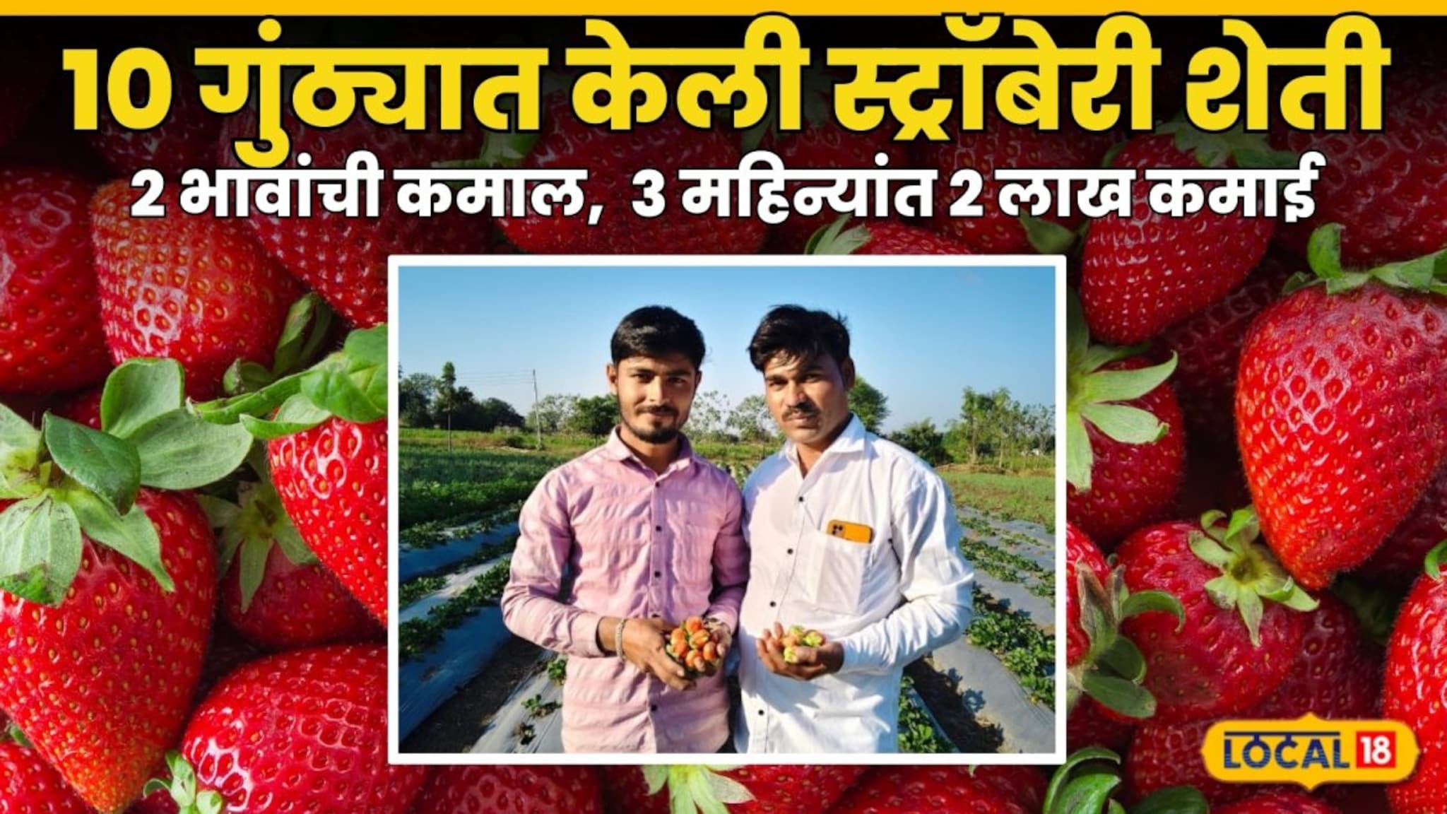 Success Story : मराठवाड्यातील 2 भावांची कमाल, 10 गुंठ्यात केली स्ट्रॉबेरी शेती, 3 महिन्यांत 2 लाख कमाई