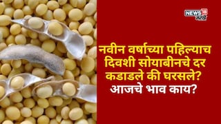 Soybean Market Soybean Market