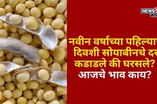 नवीन वर्षाच्या पहिल्याच दिवशी सोयाबीनचे दर कडाडले की घरसले? आजचे भाव काय?