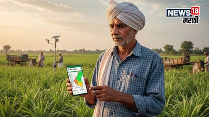 e pik pahani e pik pahani