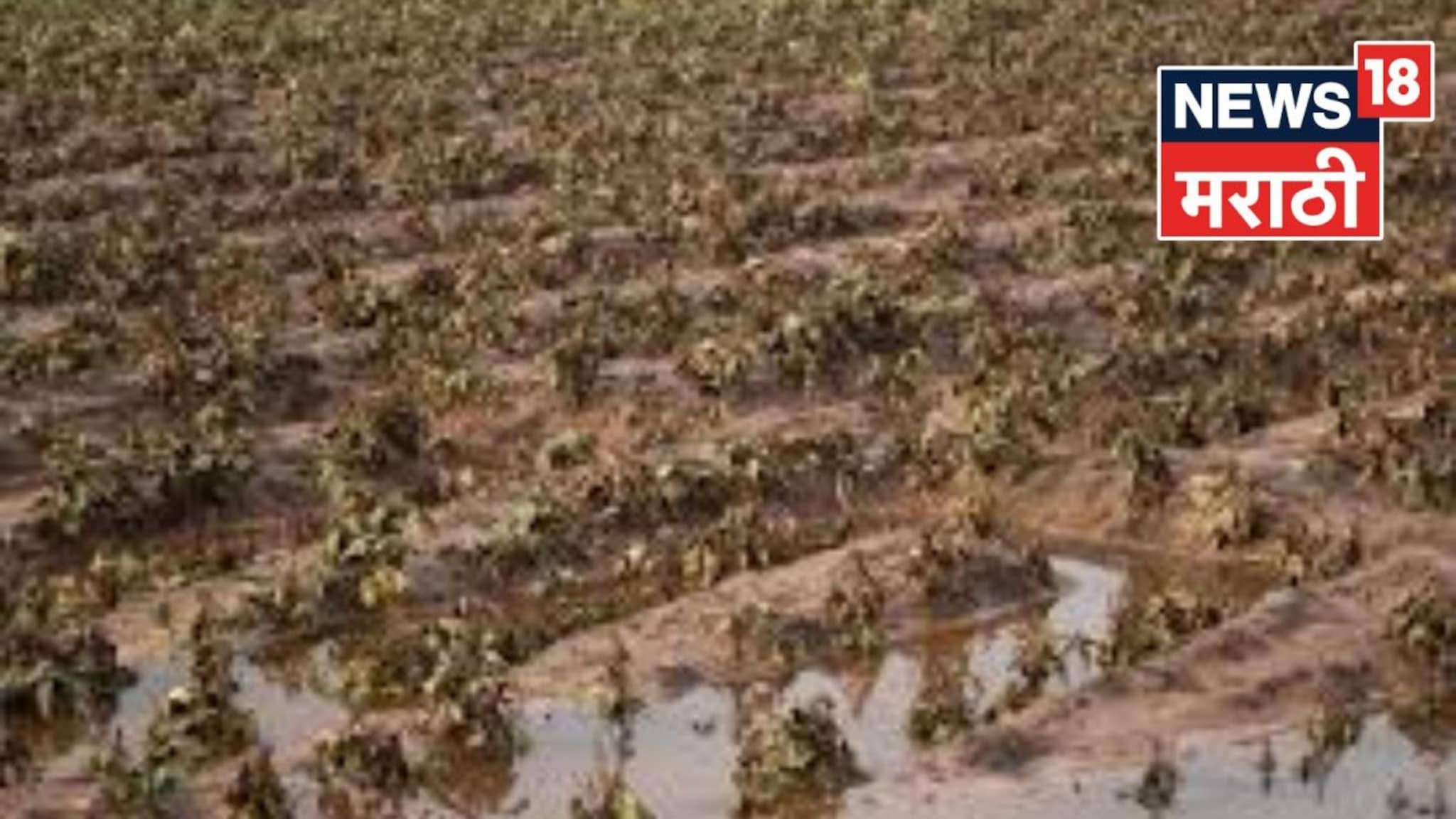 खरडून गेलेल्या जमिनींसाठी अनुदान कधी मिळणार? नवीन अपडेट काय?