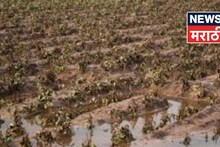 खरडून गेलेल्या जमिनींसाठी प्रति हेक्टर ४७ हजार रुपयांचे अनुदान कधी मिळणार? नवीन अपडेट काय?