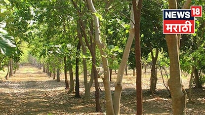 Agriculture News Agriculture News