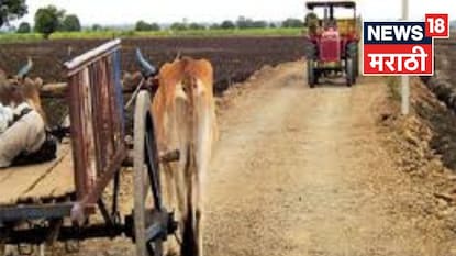 Agriculture News Agriculture News