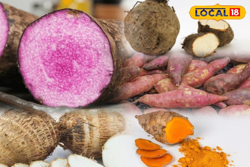 हिवाळ्यात काही कंदमुळं आणि रताळे शरीराला उबदार ठेवण्यास आणि रोगप्रतिकारक शक्ती वाढविण्यास मदत करतात. या पोषक तत्वांनी समृद्ध भाज्या थंडीच्या संसर्गापासून संरक्षण करतात.