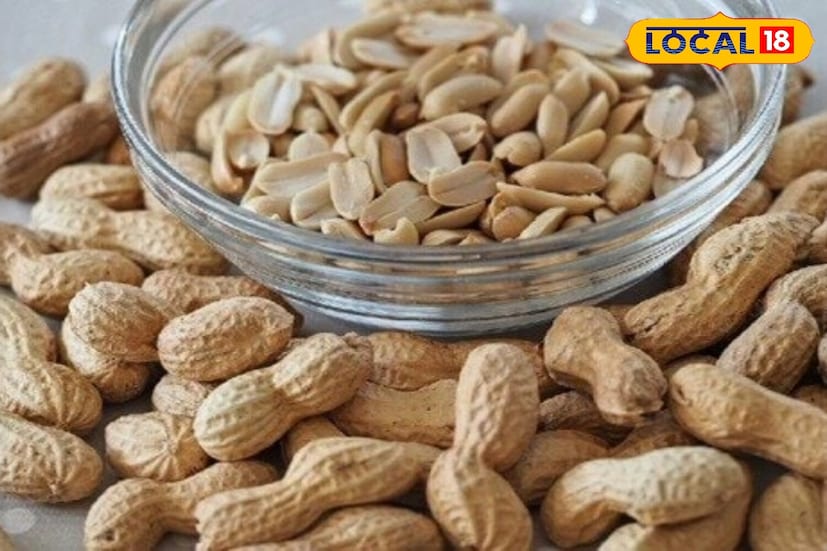 हिवाळ्यात शेंगदाणे आरोग्यदायी मानले जातात, परंतु शेंगदाणे किंवा शेंगदाण्याची अ‍ॅलर्जी असलेल्यांसाठी ते धोकादायक असू शकतात. शेंगदाणे खाल्ल्याने खाज सुटणे, त्वचेवर पुरळ येणे, ओठ किंवा चेहरा सूज येणे आणि श्वास घेण्यास त्रास होऊ शकतो. थंडीत शरीर अधिक संवेदनशील असते, ज्यामुळे अ‍ॅलर्जीचा धोका वाढतो. या लोकांनी शेंगदाणे टाळावेत.