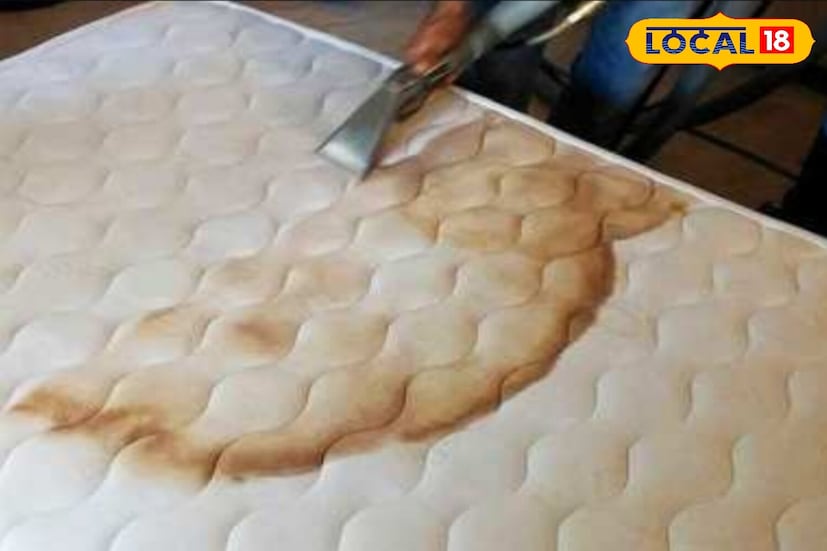 तुम्हाला माहित आहे का की, गादी स्वच्छ करण्यासाठी धुण्याची किंवा ड्राय क्लीनिंगवर पैसे खर्च करण्याची आवश्यकता नाही. हॉटेल्समध्ये गाद्या स्वच्छ करण्यासाठी एक खास युक्ती वापरली जाते, जी तुम्ही घरी सहजपणे वापरू शकता. तुम्हाला कोणत्याही महागड्या रसायनांची आवश्यकता नाही. त्याऐवजी, तुम्ही सहज उपलब्ध असलेल्या घरगुती वस्तू वापरून तुमच्या गाद्या नव्या बनवू शकता. तुम्हाला माहित आहे का की, गादी स्वच्छ करण्यासाठी धुण्याची किंवा ड्राय क्लीनिंगवर पैसे खर्च करण्याची आवश्यकता नाही. हॉटेल्समध्ये गाद्या स्वच्छ करण्यासाठी एक खास युक्ती वापरली जाते, जी तुम्ही घरी सहजपणे वापरू शकता. तुम्हाला कोणत्याही महागड्या रसायनांची आवश्यकता नाही. त्याऐवजी, तुम्ही सहज उपलब्ध असलेल्या घरगुती वस्तू वापरून तुमच्या गाद्या नव्या बनवू शकता.