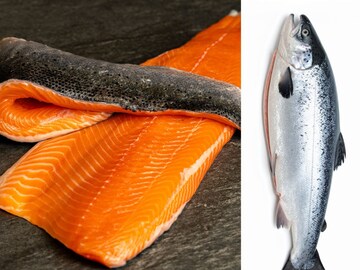 काट्यांची चिंता न करता बिनधास्त खा, 'या' 9 माश्यांमध्ये अजिबात नसतात काटे! काट्यांची चिंता न करता बिनधास्त खा, 'या' 9 माश्यांमध्ये अजिबात नसतात काटे!