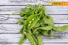 Pea Peels Uses : कचरा म्हणून मटाराच्या साली फेकू नका, आहेत खूप फायद्याच्या! 'या' स्मार्ट पद्धतीने करा वापर
