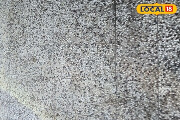 महागडे क्लिनर सोडा; बाथरूमच्या टाइल्स कितीही घाण असो, या ट्रिकने सहज चमकतील!