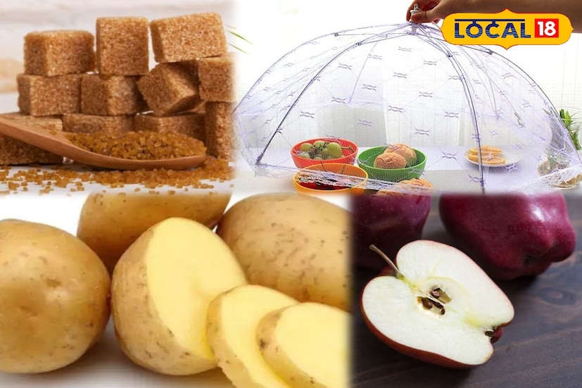 आजच्या काळात काम करणाऱ्या महिलांसाठी ऑफिस आणि घर या दोन्ही जबाबदाऱ्यांचा समतोल राखणे सोपे नसते. वेळेच्या कमतरतेमुळे महिला स्वयंपाकघरातील कामाचे आधीच नियोजन करून ठेवतात, जेणेकरून रोज स्वयंपाक करताना सोपे जाईल. अशा परिस्थितीत भाज्या आणि फळे आधीच कापून ठेवणे ही एक सामान्य पद्धत बनली आहे. मात्र कापलेली फळे आणि भाज्या जास्त वेळ उघड्यावर ठेवल्याने लवकर खराब होतात. हीच समस्या लक्षात घेऊन काही स्मार्ट किचन हॅक्स अवलंबता येतात, ज्यांच्या मदतीने भाज्या आणि फळे अधिक काळ ताजी ठेवता येतात. यामुळे वेळही वाचतो आणि भाज्या-फळे खराबही होत नाहीत.