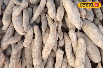 मुलं रताळे खात नाही? बनवा रताळ्याची खीर; मुलांना कळणारही नाही, क्षणात संपवतील