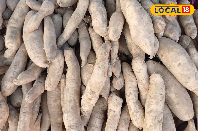 हिवाळा सुरू होताच स्वयंपाकघरात विविध मिठाईंचा सुगंध दरवळू लागतो. विशेषतः तांदळाची खीर आणि साबुदाण्याची खीर जवळजवळ प्रत्येक घरात बनते, पण जर तुम्हाला या जानेवारीच्या थंड महिन्यात काहीतरी नवीन आणि वेगळे ट्राय करायचे असेल, जे शरीराला उबदार ठेवेल, तर रताळ्याची खीर हा एक उत्तम पर्याय ठरू शकतो. रताळे आरोग्यासाठी फायदेशीर असतात. दूध आणि सुकामेवा यांच्यासोबत मिळून त्याची खीर खूपच चविष्ट बनते. रताळ्याची खीर बनवण्याची रेसिपी खूप सोपी आहे.