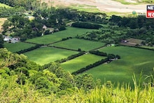 शासनाचा मोठा निर्णय! शेतीचे वाद मिटणार, या योजनेला दिली मुदतवाढ