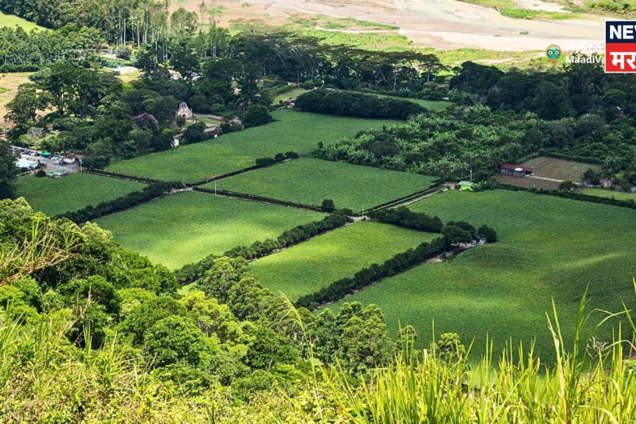 शासनाचा मोठा निर्णय! शेतीचे वाद मिटणार, या योजनेला दिली मुदतवाढ