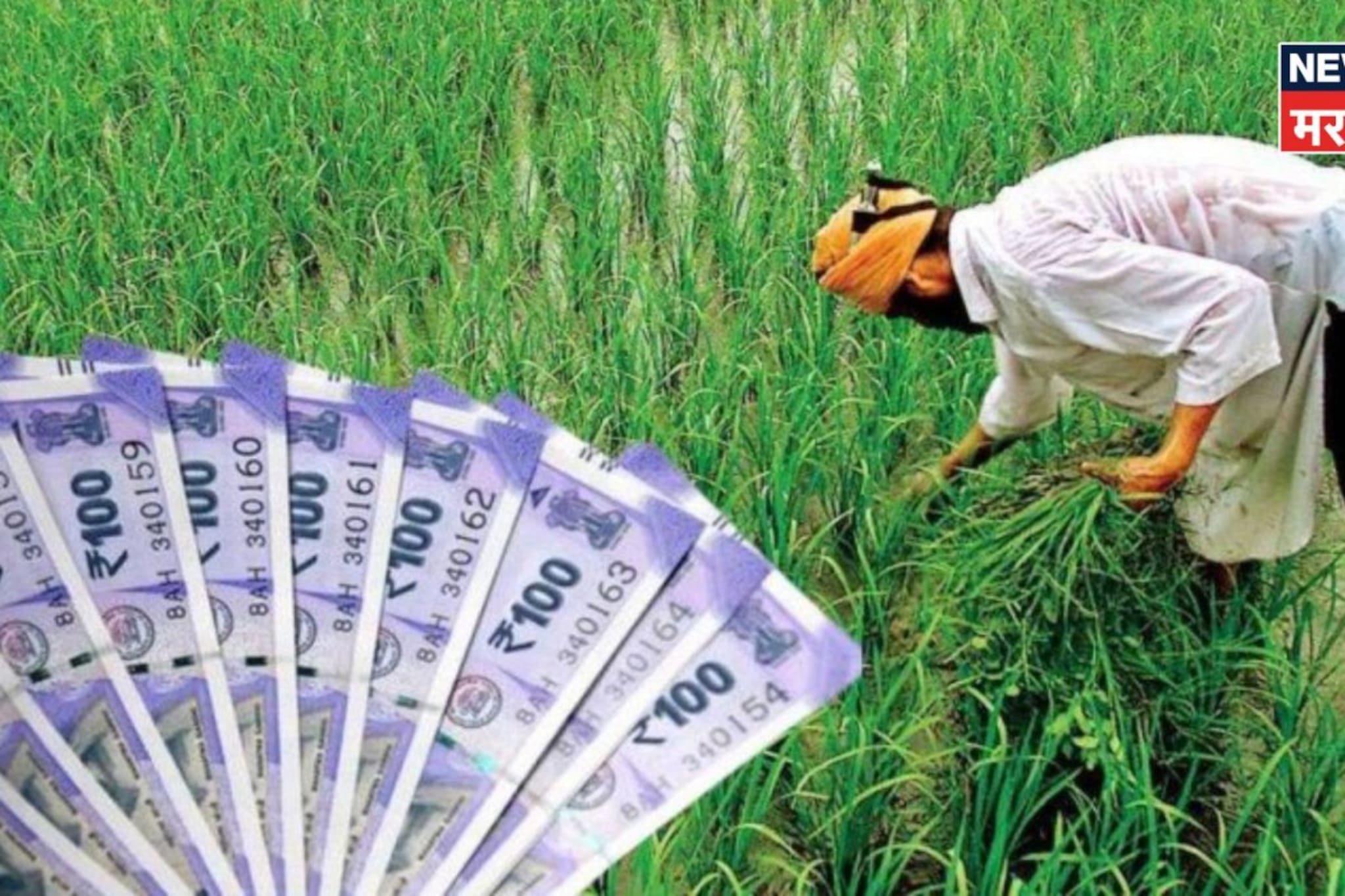 राज्यातील शेतकऱ्यांच्या पीक कर्जाबाबत केंद्र सरकारचा मोठा निर्णय!