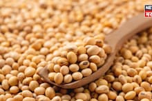 शेतकऱ्यांसाठी गुड न्यूज! सोयाबीनने हमीभाव दराचा टप्पा ओलांडला, सध्याचे बाजारभाव काय?