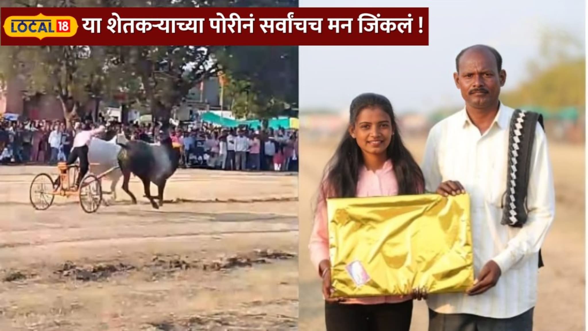 शंकरपटात अमरावतीच्या वाघीणीची विजयी हॅट्रिक! शेतकऱ्याच्या पोरीनं जिंकलं सर्वांच मन