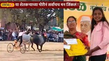 शंकरपटात अमरावतीच्या वाघीणीची विजयी हॅट्रिक! शेतकऱ्याच्या पोरीनं जिंकलं सर्वांच मन