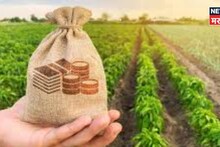 गुड न्यूज! या जिल्ह्यातील नुकसानग्रस्त शेतकऱ्यांना १८७ कोटींची नुकसान भरपाई आली, हेक्टरी किती पैसे मिळणार?