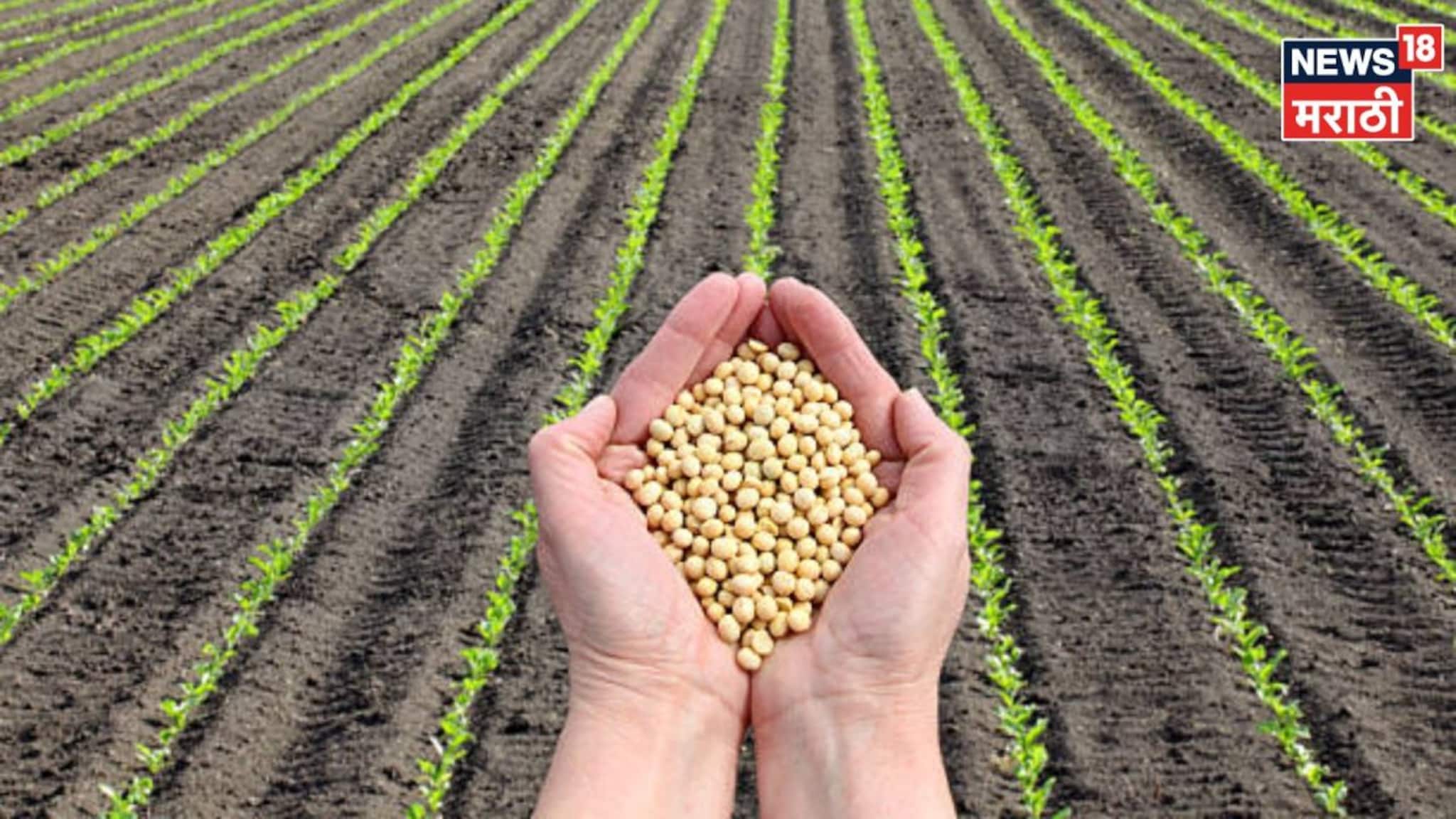 ...तर ३० लाखांच्या दंडासह ३ वर्ष तुरुंगवास होणार! बियाणे विधेयक २०२६ काय आहे?