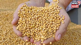 २०२६ मध्ये पहिल्यांदाच सोयाबीनच्या दरात मोठी तेजी! आजचा बाजारभाव काय?