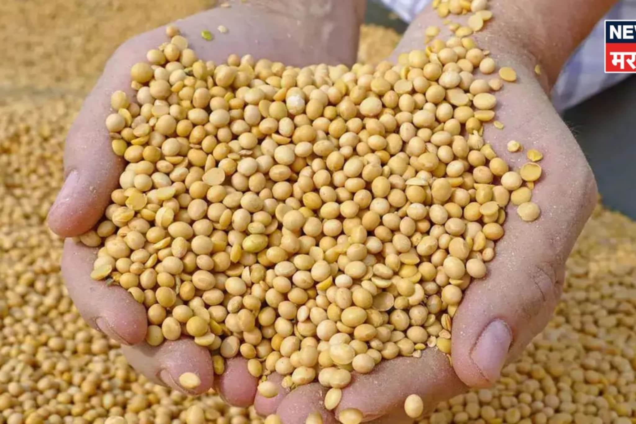 २०२६ मध्ये पहिल्यांदाच सोयाबीनच्या दरात मोठी तेजी! आजचा बाजारभाव काय? २०२६ मध्ये पहिल्यांदाच सोयाबीनच्या दरात मोठी तेजी! आजचा बाजारभाव काय?