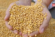 २०२६ मध्ये पहिल्यांदाच सोयाबीनच्या दरात मोठी तेजी! आजचा बाजारभाव काय? लगेच वाचा