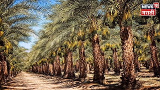 success story success story