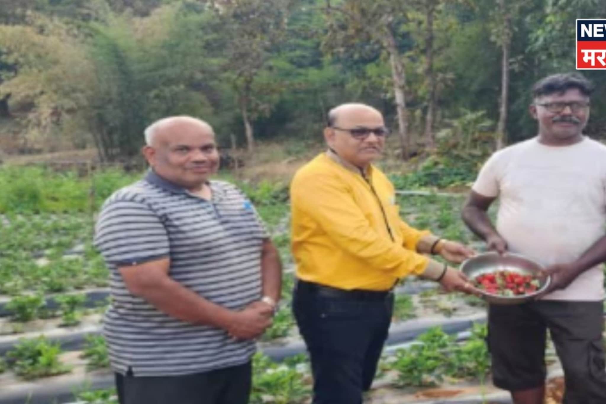 माळरानावर उभी केली ही शेती! नितीन पाटील आता करताय लाखोंची कमाई माळरानावर उभी केली ही शेती! नितीन पाटील आता करताय लाखोंची कमाई