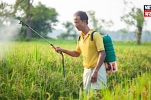 राज्य कृषी विभागाचा मोठा निर्णय! १३ जैव उत्तेजकांवर घातली बंदी, नावांची यादी जाहीर