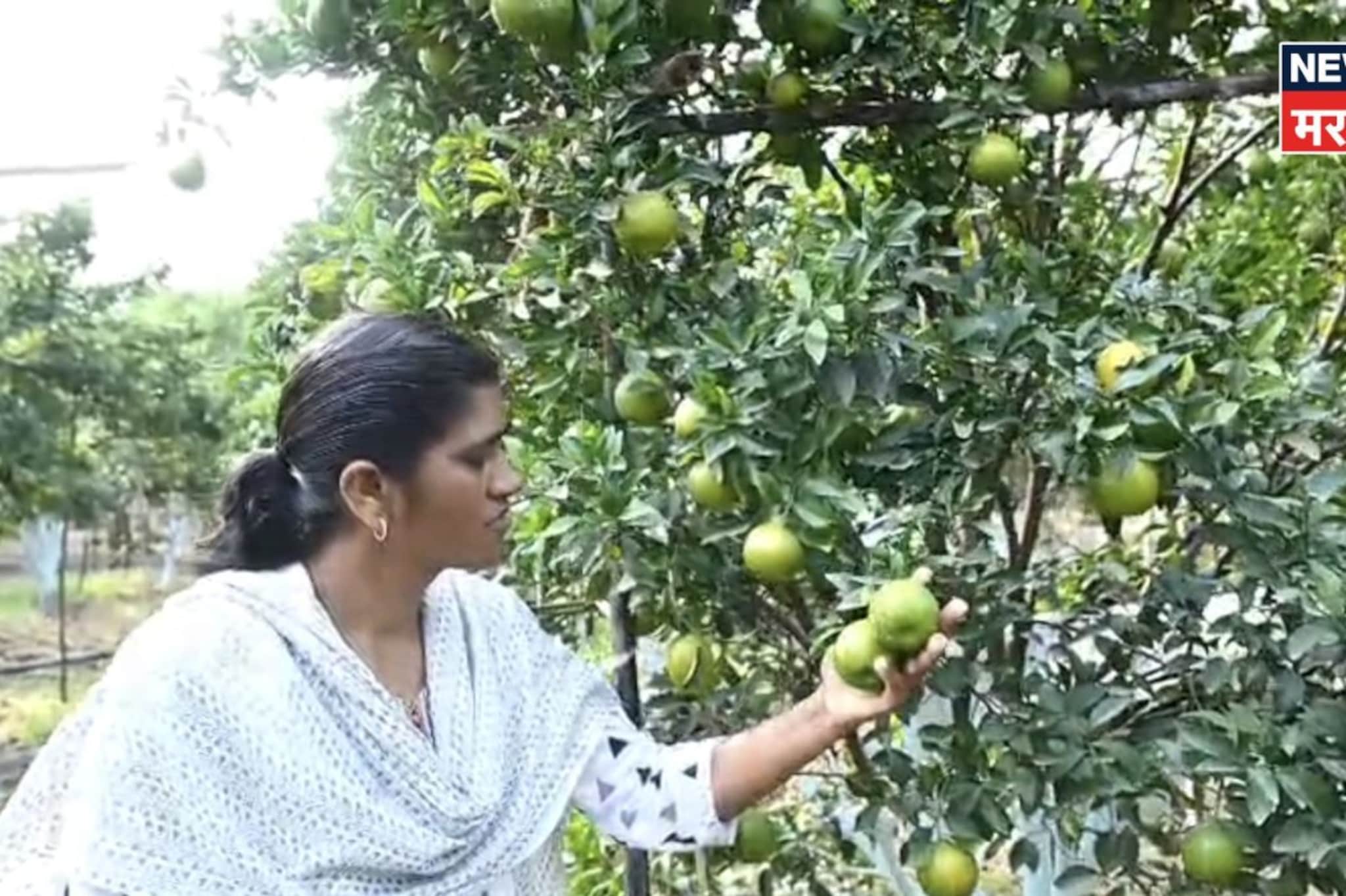 एका निर्णयाने आयुष्य बदललं! अमरावतीच्या भारती या शेतीतून करताय लाखोंची कमाई