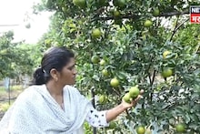 वडिलांनी नाकारलं,मिळेल तिथं काम केलं! एका निर्णयाने आयुष्य बदललं, अमरावतीच्या भारती या शेतीतून करताय लाखोंची कमाई