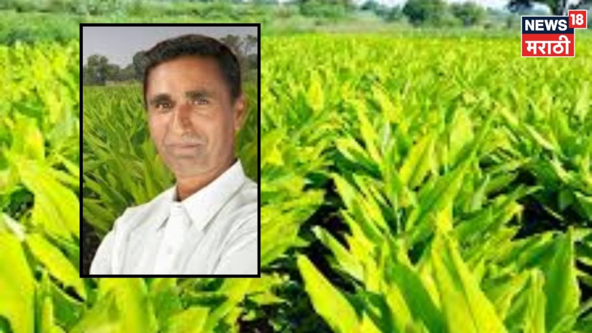 कराडच्या  शेतकऱ्याची राज्यभरात चर्चा, फक्त ९ महिन्यांत कमावले ११.५ लाख रुपये, असं केलं काय?