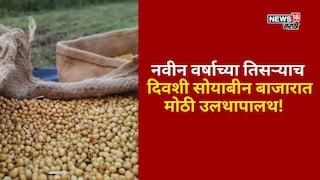 soyabean market soyabean market