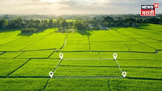 agriculture News agriculture News