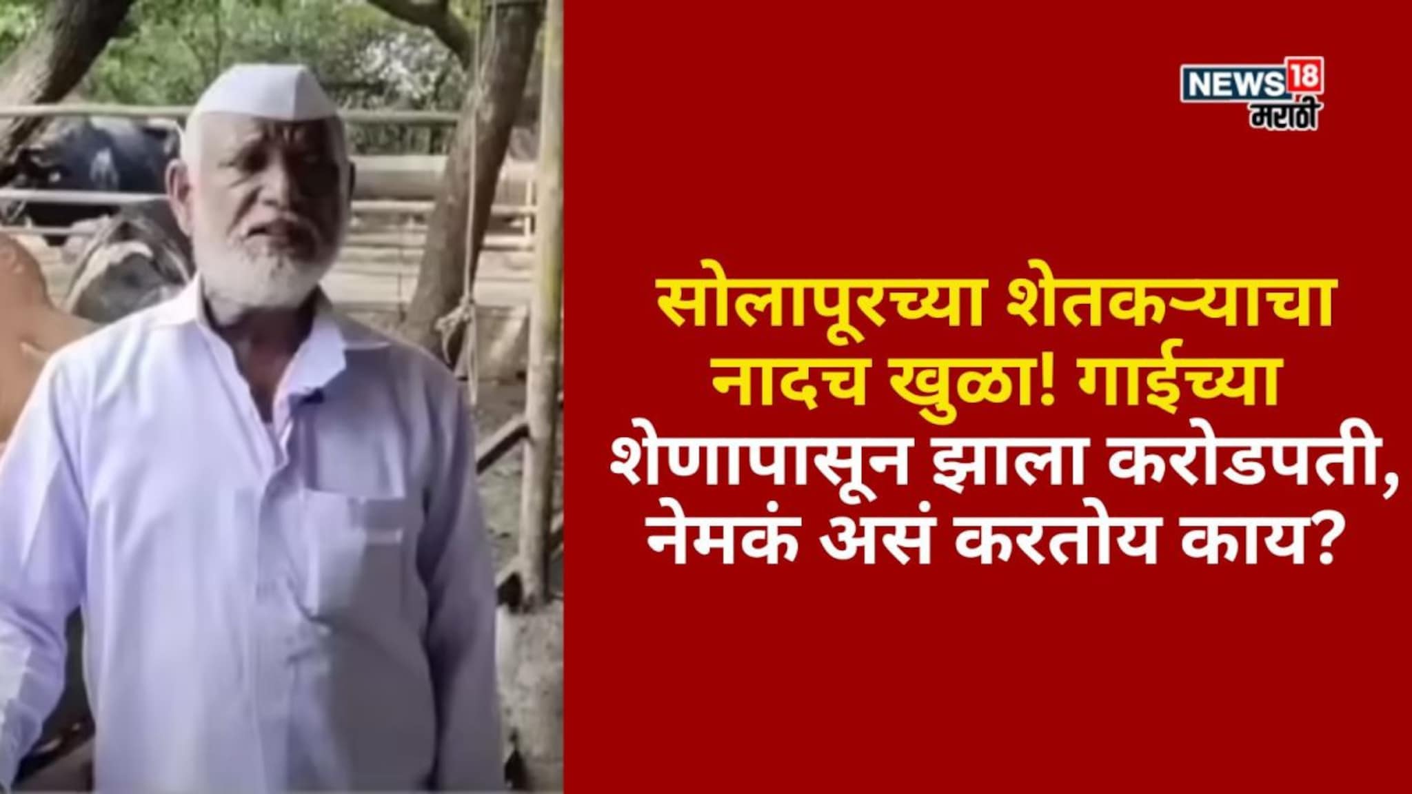 गाईच्या शेणापासून सोलापूरचा शेतकरी झाला करोडपती, नेमकं असं करतोय काय?