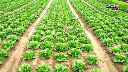 Agriculture News Agriculture News