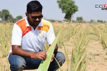 हरीशने सरकारी नोकरी सोडली! शेतीत नवीन संधी शोधली अन् या पिकातून झाला करोडपती