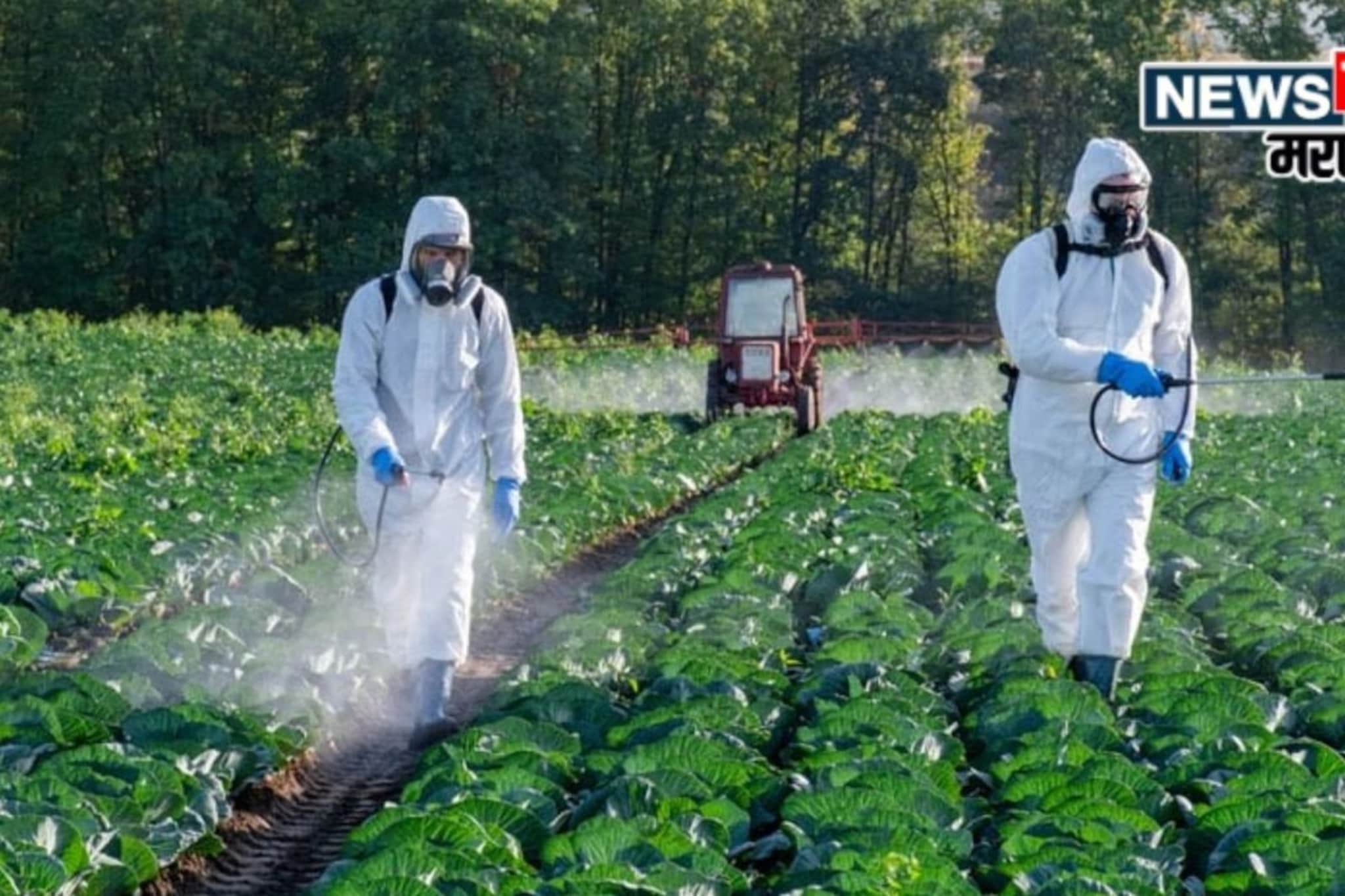 ..तर थेट शिक्षा होणार! कीटकनाशक व्यवस्थापन विधेयक 2025 काय आहे? ..तर थेट शिक्षा होणार! कीटकनाशक व्यवस्थापन विधेयक 2025 काय आहे?