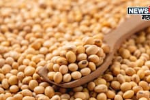 सोयाबीन मार्केटमध्ये पुन्हा मोठी उलटफेर! दर वाढणार की कोसळणार? सध्याचे बाजारभाव काय?