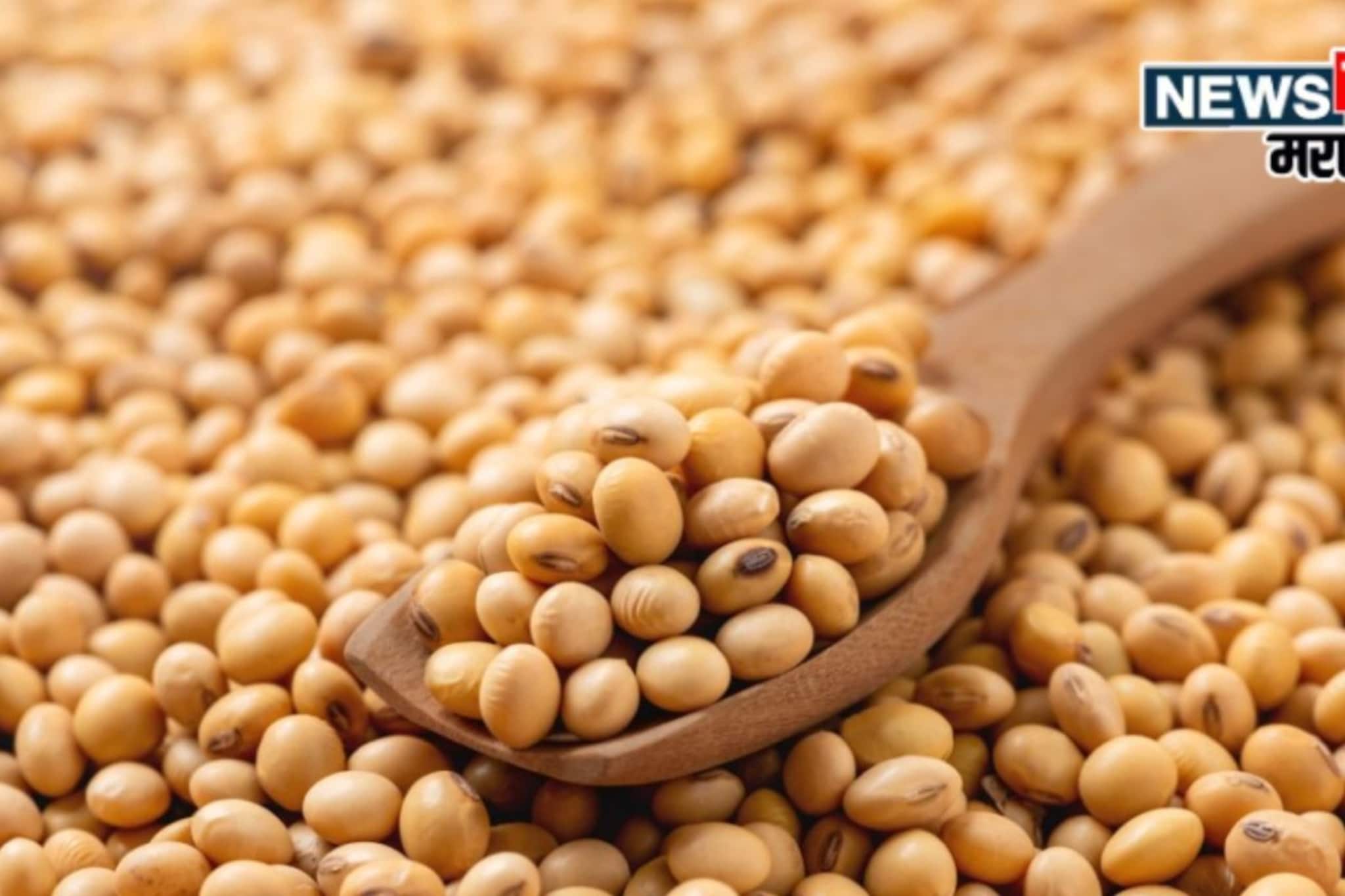सोयाबीन मार्केटमध्ये पुन्हा मोठी उलटफेर! दर वाढणार की कोसळणार?
