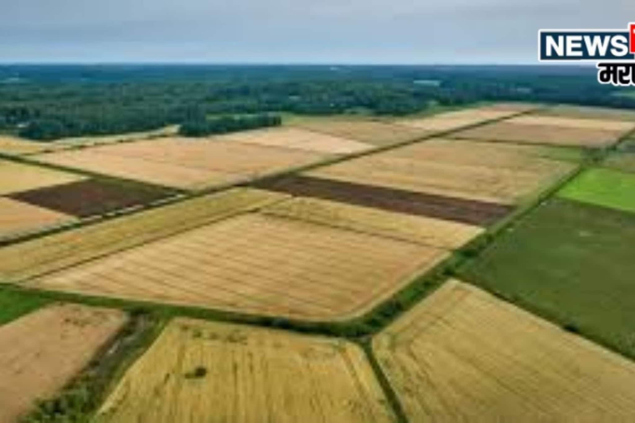 मोजणी नकाशा ते चतु:सीमेपर्यंत! शेतजमीन खरेदीचा नवीन नियम काय?