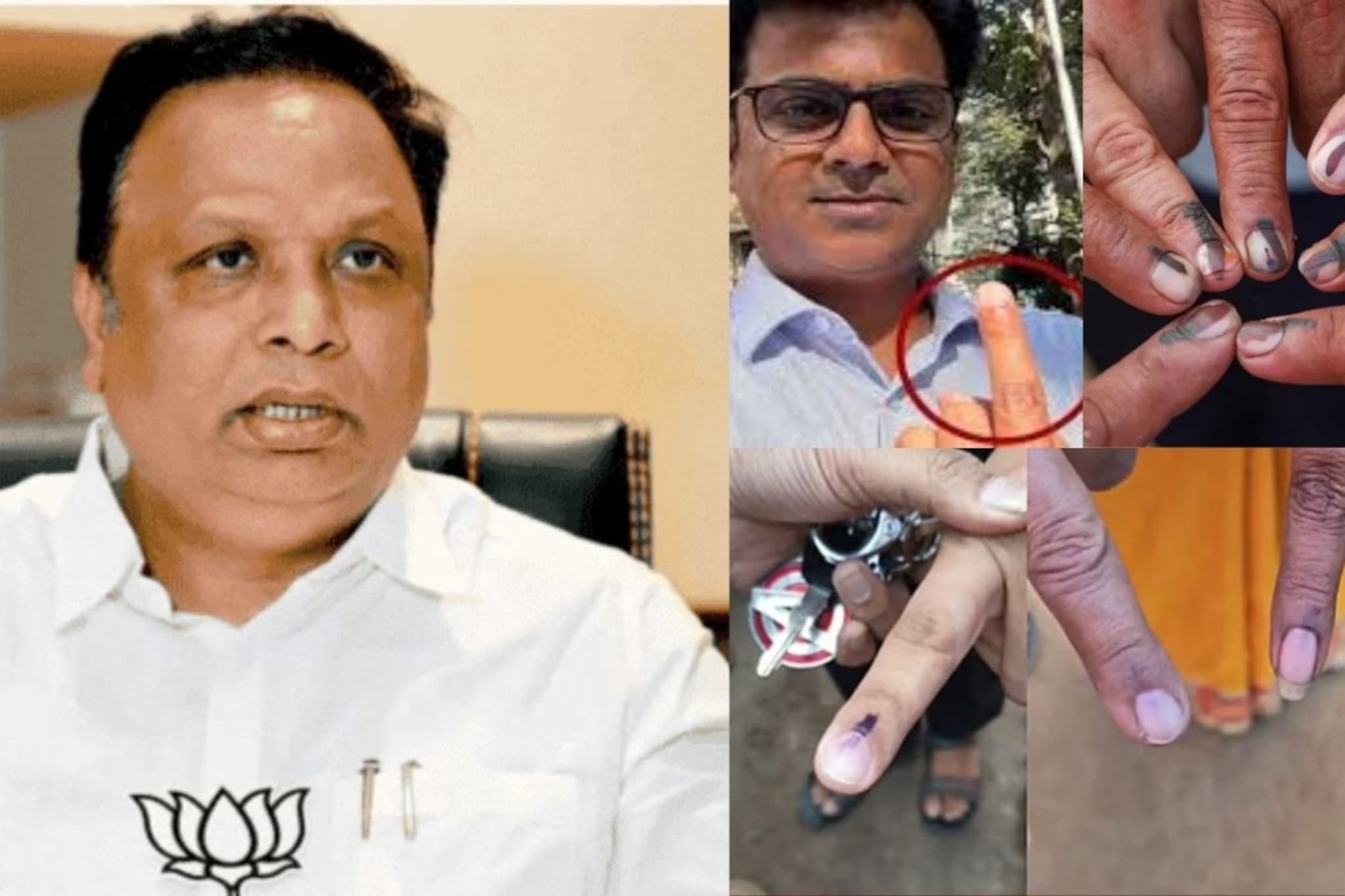 ज्यांनी बोटावरची शाई पुसली, त्यांच्यावर गुन्हा दाखल करा, आशिष शेलारांची मागणी