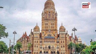 तुमच्या वॉर्डाचा निकाल कधी? मुंबई पालिकेच्या २२७ वॉर्डांसाठी यंदा मतमोजणीचा 'पाच टप्प्यांचा' फॉर्म्युला!