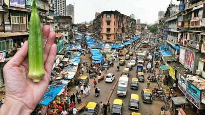 भेंडी बाजार: मुंबई के मशहूर बाजार का नाम 'भेंडी' क्यों? जानें दिलचस्प वजह.