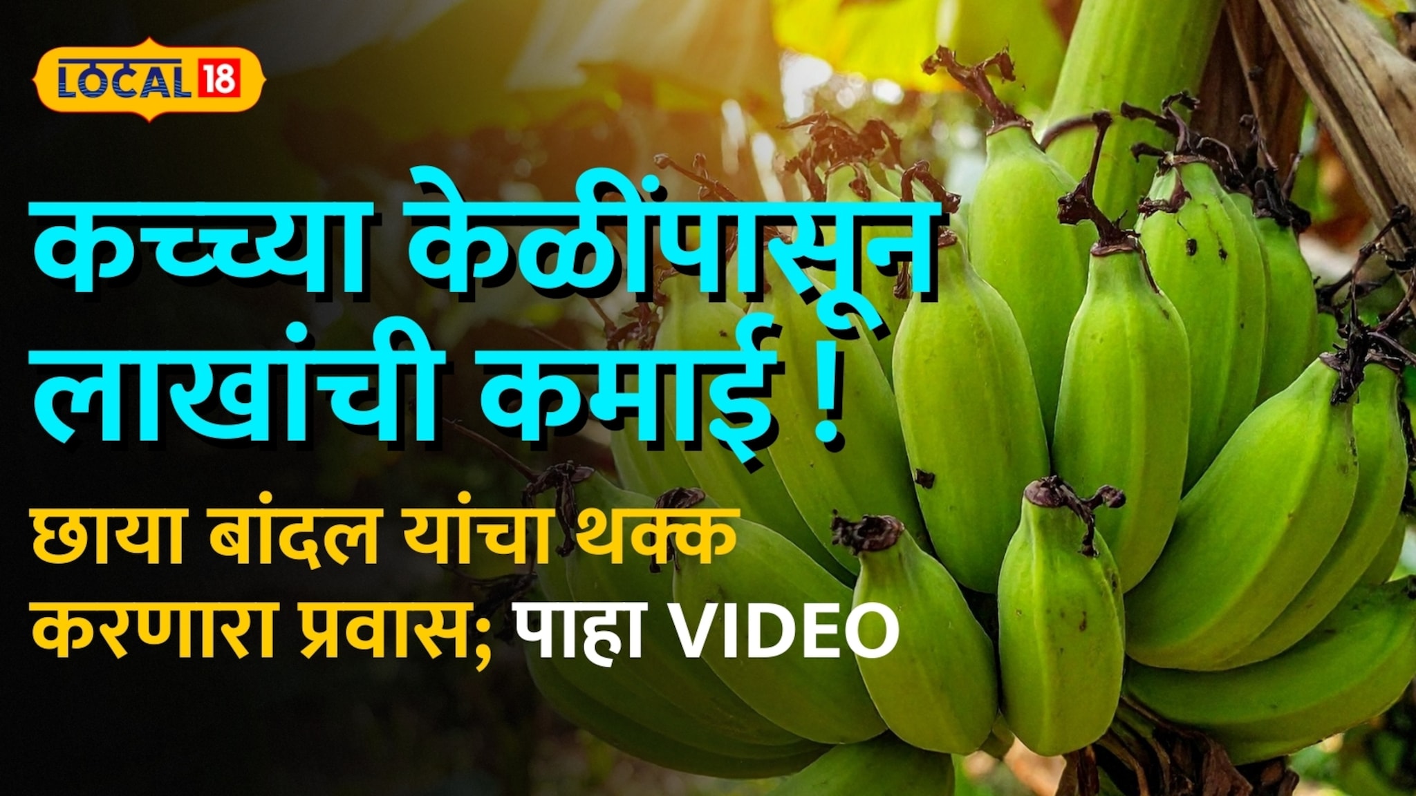 कच्च्या केळींपासून लाखांची कमाई ! छाया बांदल यांचा थक्क करणारा प्रवास; पाहा VIDEO कच्च्या केळींपासून लाखांची कमाई ! छाया बांदल यांचा थक्क करणारा प्रवास; पाहा VIDEO