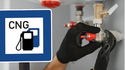 सीएनजी पीएनजी 